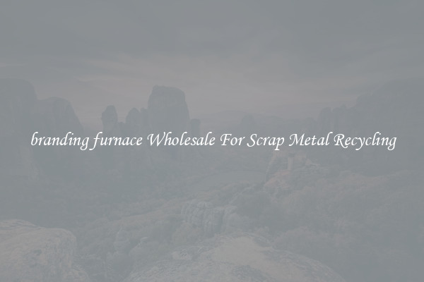 branding furnace Wholesale For Scrap Metal Recycling