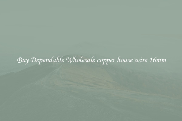 Buy Dependable Wholesale copper house wire 16mm