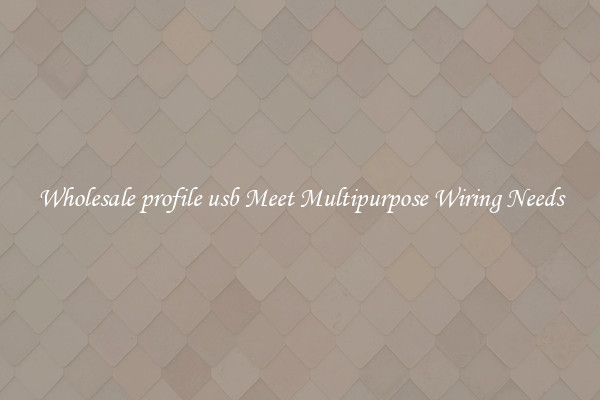 Wholesale profile usb Meet Multipurpose Wiring Needs