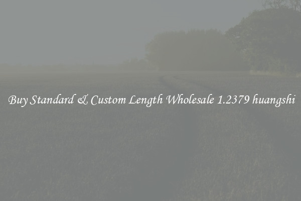 Buy Standard & Custom Length Wholesale 1.2379 huangshi