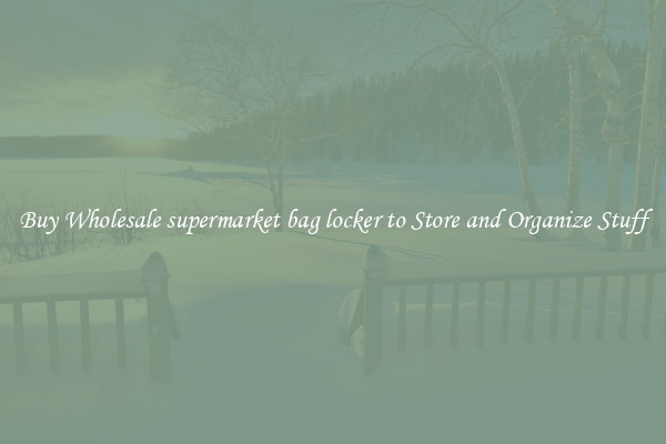 Buy Wholesale supermarket bag locker to Store and Organize Stuff