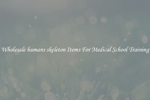 Wholesale humans skeleton Items For Medical School Training