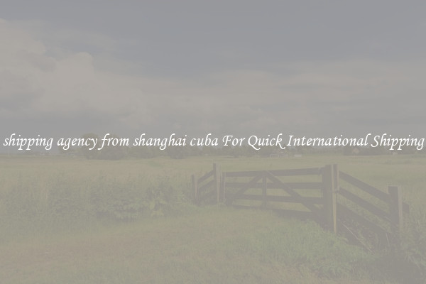 shipping agency from shanghai cuba For Quick International Shipping