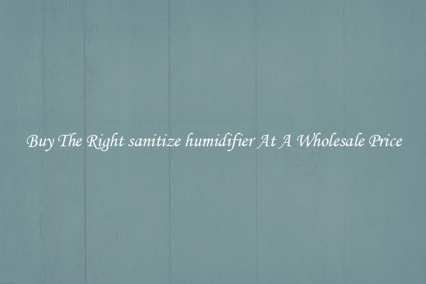 Buy The Right sanitize humidifier At A Wholesale Price