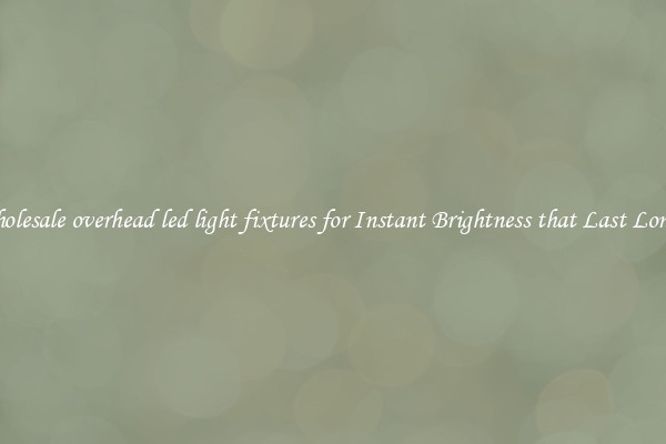 Wholesale overhead led light fixtures for Instant Brightness that Last Longer