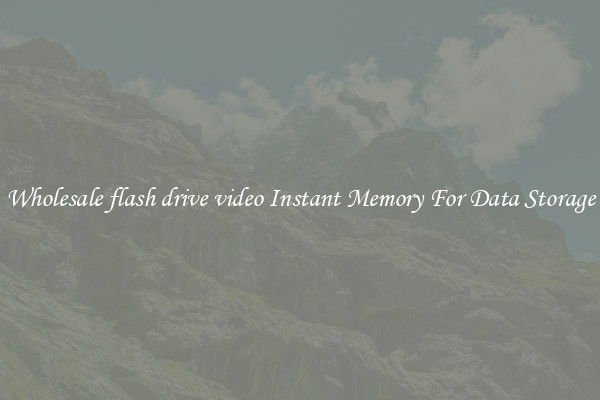 Wholesale flash drive video Instant Memory For Data Storage
