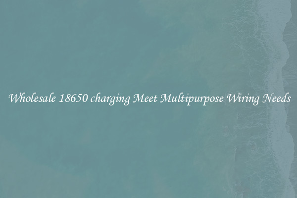 Wholesale 18650 charging Meet Multipurpose Wiring Needs