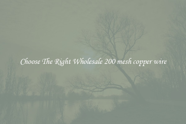 Choose The Right Wholesale 200 mesh copper wire