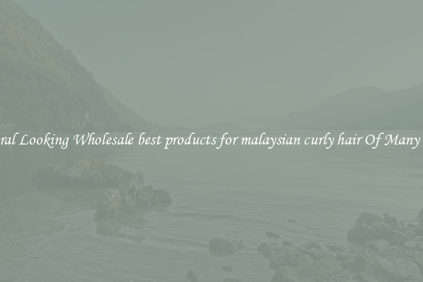 Natural Looking Wholesale best products for malaysian curly hair Of Many Types