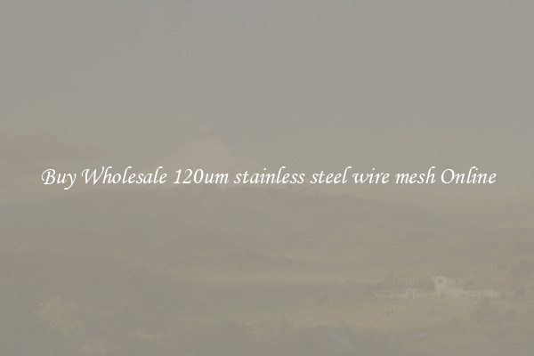 Buy Wholesale 120um stainless steel wire mesh Online