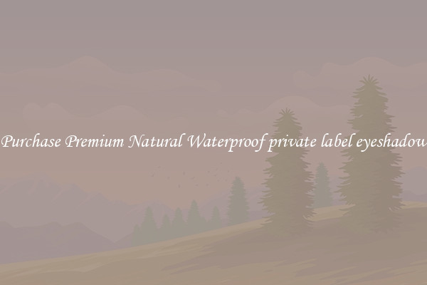 Purchase Premium Natural Waterproof private label eyeshadow