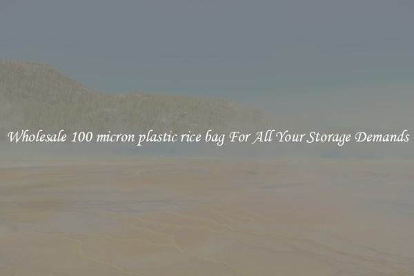 Wholesale 100 micron plastic rice bag For All Your Storage Demands