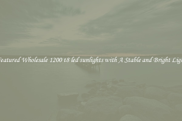 Featured Wholesale 1200 t8 led sunlights with A Stable and Bright Light