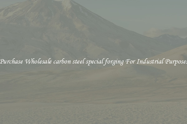 Purchase Wholesale carbon steel special forging For Industrial Purposes