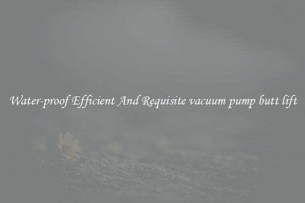 Water-proof Efficient And Requisite vacuum pump butt lift